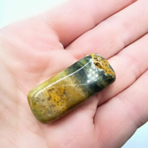 Bumble Bee Jasper Polished (15.15g)