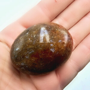 Carnelian Palm Stone O (64g)