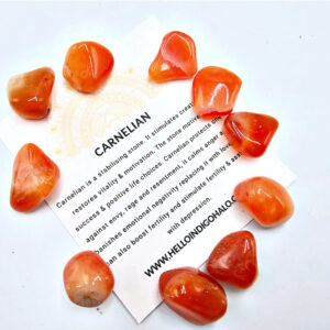 Carnelian Tumble Stone Mini's 10s