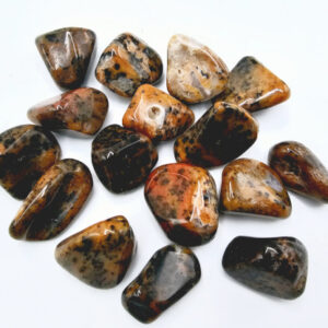 Cheetah Agate Tumbled Stones