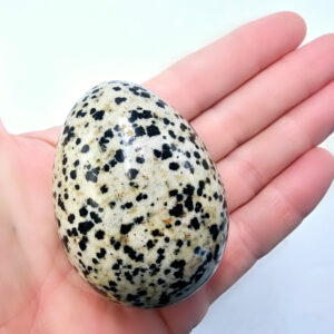 Dalmatian Jasper Egg  A (166g)