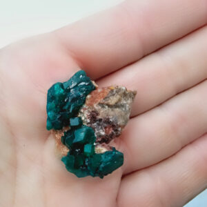 Dioptase Specimen O (10.9g)