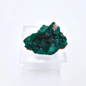 Dioptase Specimen T (4.3g)