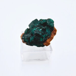 Dioptase Specimen U (11.36)