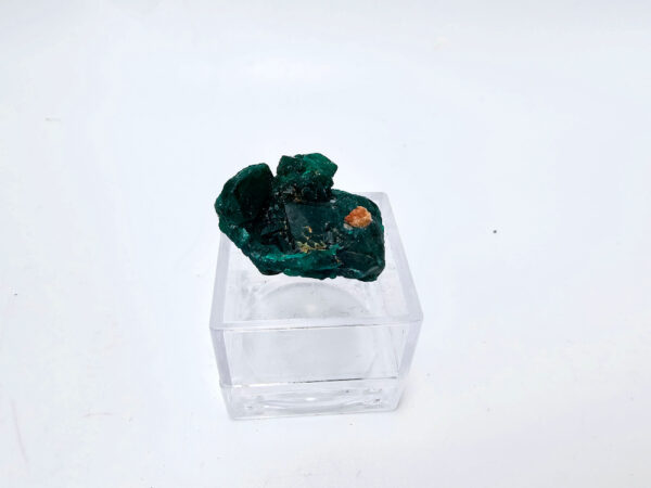 Dioptase Specimen V (5.2g)