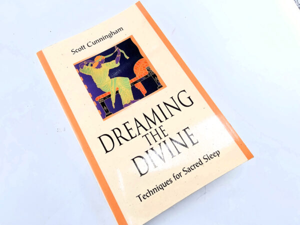 Dreaming The Divine book