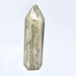 Fuchsite Polished Point B (644g) Banded