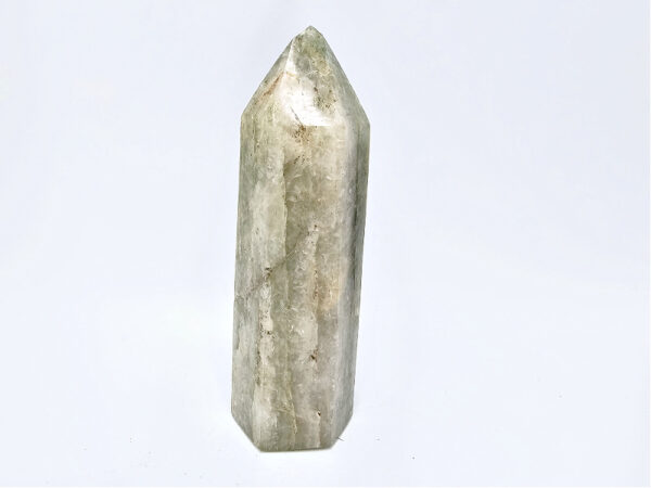Fuchsite Polished Point B (644g) Banded