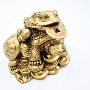 Gold Money Frog With Tortoises