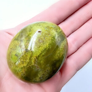 Green Opal Palm Stone A RARE (92g)