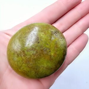 Green Opal Palm Stone D (106g) Rare