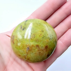 Green Opal Palm Stone F (112g) Rare