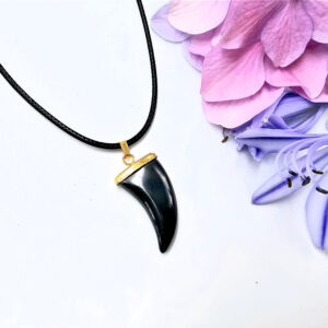 Hematite Claw Necklace
