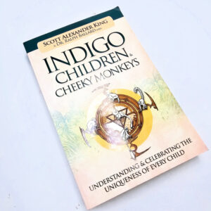 Indigo Children & Cheeky Monkeys book by Scott Alexander king