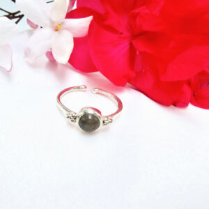 Labradorite Round Ring With Circles (925 Silver