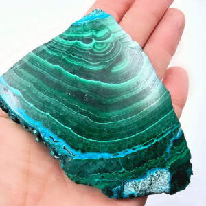 Malacolla Slice Polished (120g)