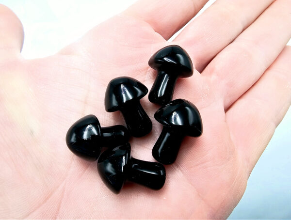 Mini Black Obsidian Mushroom