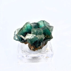 Okorusu Fluorite A (14g)