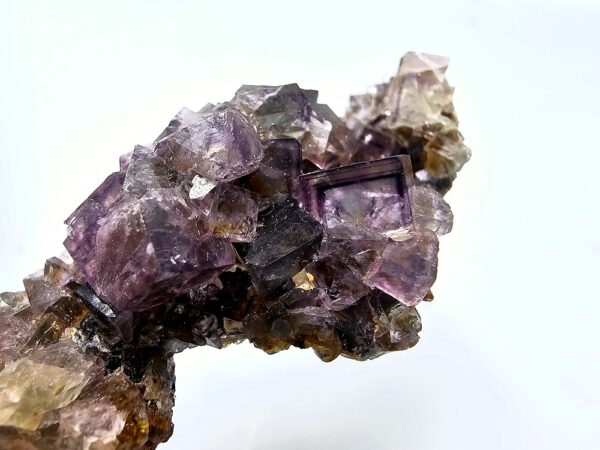 Okorusu Fluorite cluster