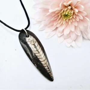 Orthoceros Fossil Necklace
