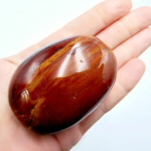 Petrified Wood Palm Stone B (195g)