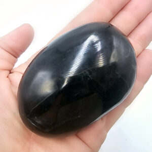Pharaoh Palm Stone H (220g)