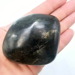 Pharaoh Palm Stone I (230g)