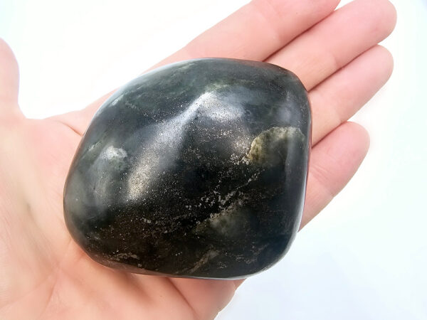 Pharaoh Palm Stone I (230g)