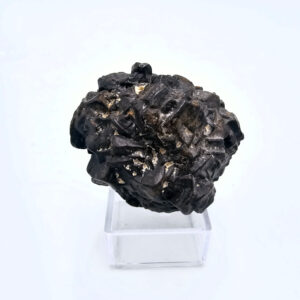 Prophecy Stone I