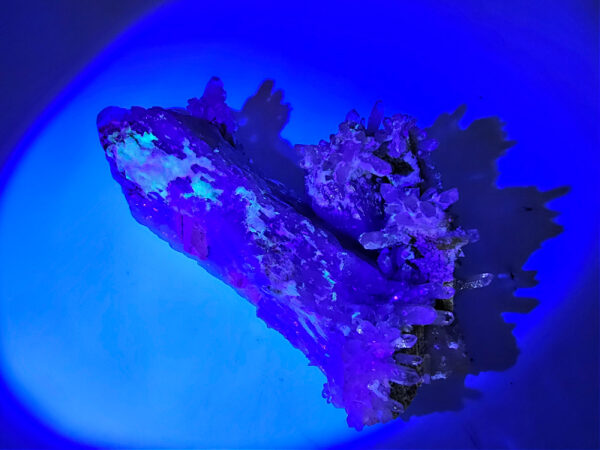 Quartz & Feldspar Cluster with Hyalite Opal (244g) - Image 3