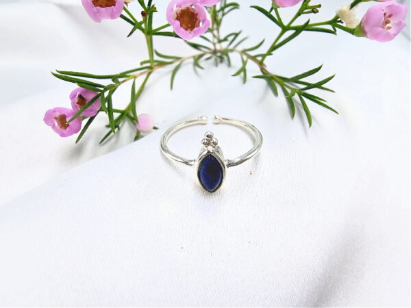 Lapis Lazuli Diamond Circles Ring (925 Silver)