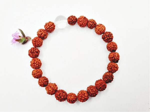 Rudraksha & Clear Quartz Bangle (8mm)