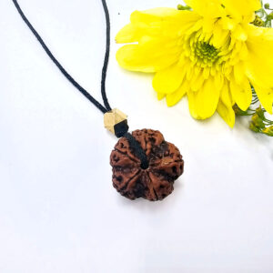 Rudraksha Bead Necklace (5 Mukhi)