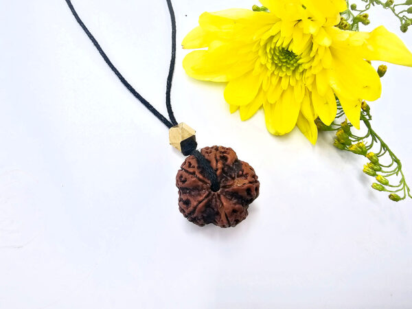 Rudraksha Bead Necklace (5 Mukhi)
