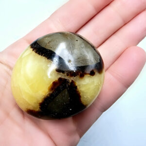 Septarian Polished Palm Stone