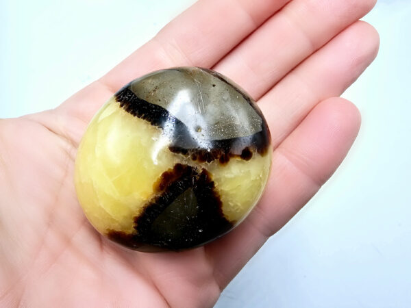 Septarian Polished Palm Stone