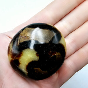 Septarian Polished Palm Stone C (102g)