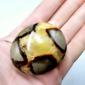 Septarian Polished Palm Stone D (116g)