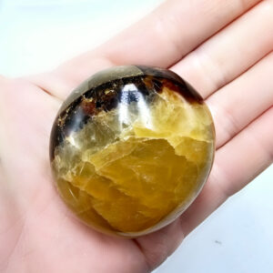 Septarian Polished Palm Stone