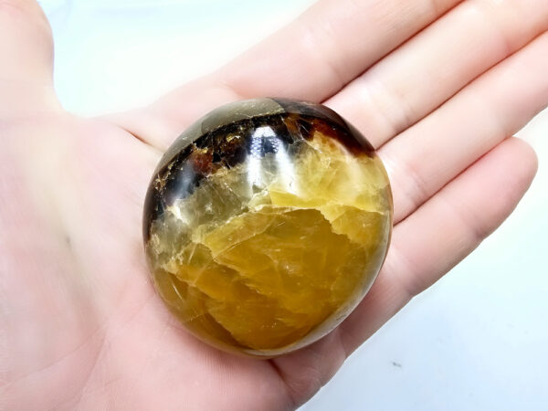 Septarian Polished Palm Stone