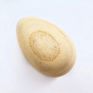 Shaker Egg Instrument (6cm)`