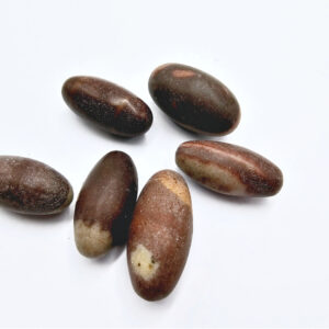 Shiva Lingam Stone (2-3cm)