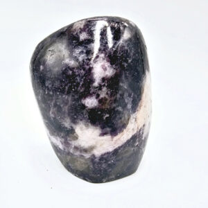 Silver Leaf Lepidolite Freeform Standing B (454g)