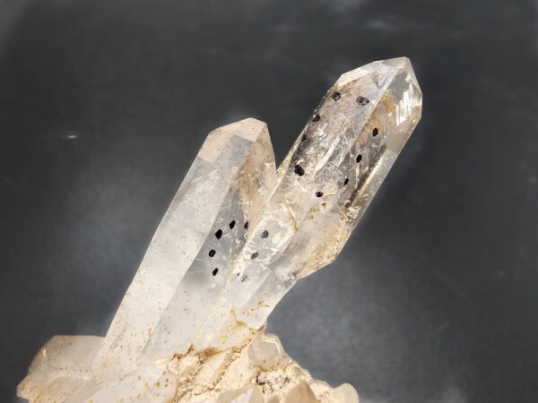 Smoky Quartz Cluster C (32g) Sceptre & 3X Enhydro - Image 2