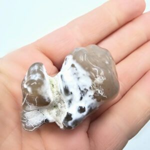 Snakeskin Agate A (46.3g)