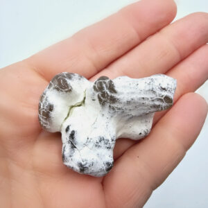 Snakeskin Agate D (33.7g)