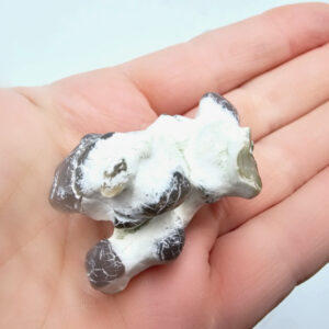 Snakeskin Agate F (35.6g)