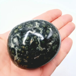 Kambaba Jasper Palm Stone I (157g)