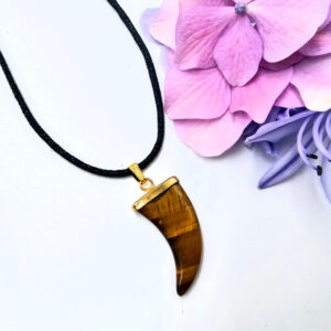 Tigers Eye Claw Necklace