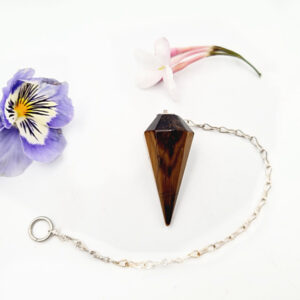 Tigers Eye Pendulum Point